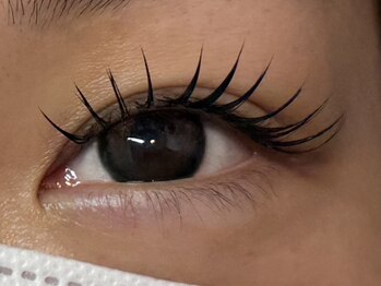 グランジーナ(Gran Jiina)/マツエク120本