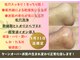 ビービー(BB)の写真