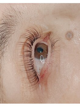 トキ(Toki)/パリエク