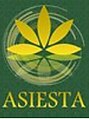 アジエスタ 心斎橋店(ASIESTA)/ASIESTA心斎橋店セラピスト一同