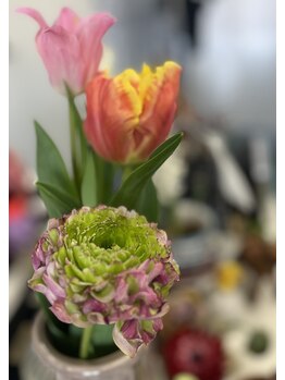 マシュマロハンド/よもぎ蒸し/冷え/むくみ改善