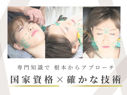京美の写真