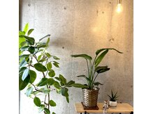 ティエ(tie.)の雰囲気（＊一席限定のプライベートサロン時間＊）