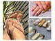 ファボ ネイル(FAV NAIL)の写真