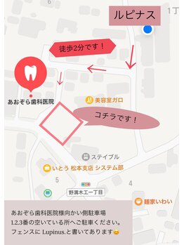ルピナス(Lupinus.)/【無料駐車場ご案内】