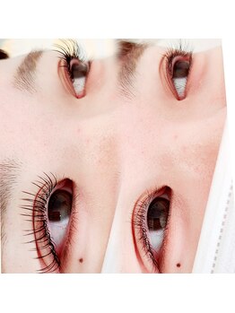 コア(Koa)/束感+フラットラッシュ100本