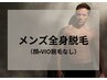 メンズ全身脱毛《vio脱毛・顔脱毛なし》