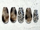 hand 定額design