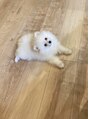 チョア(Choa)&nbsp; &nbsp;&nbsp;&nbsp;休日は愛犬とお散歩を楽しんでます!
