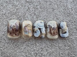 プレミアムセレクト