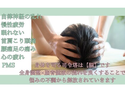 コメット(Comete)の写真