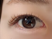 バンブルビー(BUMBLEBee)/季節を取り込むなら