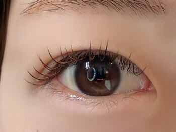 バンブルビー(BUMBLEBee)/季節を取り込むなら