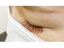 クレー(Klee)/ブラウンエクステ