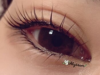 アリッサム(Alyssum)/パリジェンヌラッシュリフト