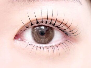 ハル 豊中本店(HAL)/フラットラッシュ140本