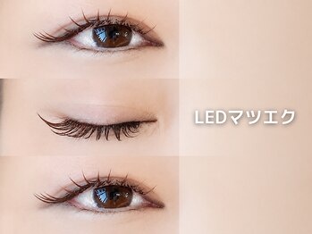 ヌイ(nui)/LEDマツエク