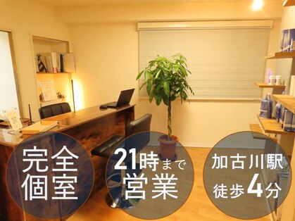 ひかり素肌の写真