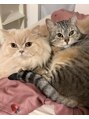 ブルーム(bloom.)&nbsp;我が家のねこーずたち☆※サロンにはいません