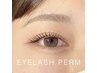 【 大人気◎ 】上下まつげパーマ〈コーティング付〉 ￥6500