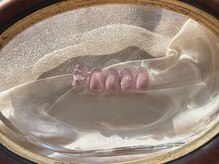 シンス(Since)/12月 monthly design