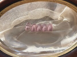 12月 monthly design