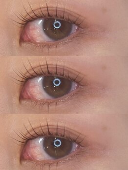 アイモア 多治見店(eye mor.)/似合わせまつ毛パーマ