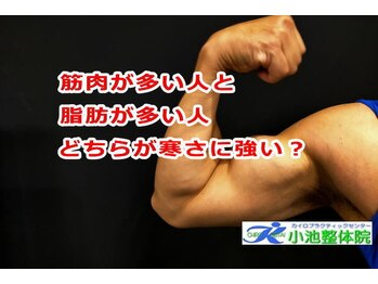 小池整体院/どちらが寒さに強い?