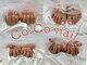 ココ ネイル(Co.Co nail)の写真