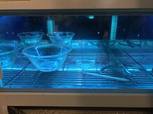 プラム(Plum in fortune lapis)/感染予防対策