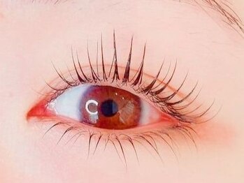 アルス (Ars)の写真/【2回目も同料金でご案内】高級セーブルで上品でナチュラルな目元に♪イメージや目元に合わせてご提案♪