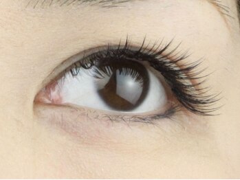 まつげエクステ専門店LaLa/高級セーブル毛使用★国産★