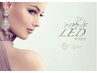 LED【フラットラッシュ】付け放題　