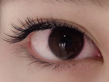 カラン 焼津店(CALIN)/フラットラッシュ140本