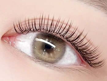 リラネイルサロン/Wフラットラッシュ120束(両目)