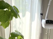 ジュエリーデイズ(Jewelry Days)の雰囲気（明るい店内。窓から見える緑にも癒されてください。）