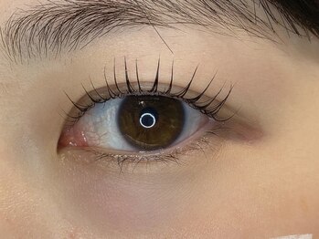 カラーリゾート Ai 葛西店/パリジェンヌラッシュリフト