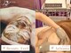 ビューティフィール アンド アリサナ(Beauty Feel&Arisana)の写真
