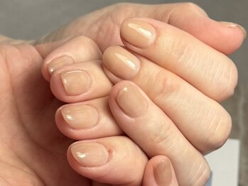 シャール(shall)/ワンカラー/パラジェル相当