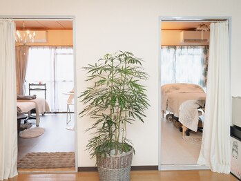 リラクゼーションLuana【ルアナ】【3/5 NEW OPEN（予定）】/