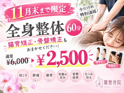 蘭整骨院の写真