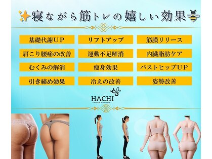 ハチ(HACHI)の写真