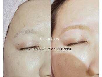 シャルトルズ/ハーブタンニングアイブロウ