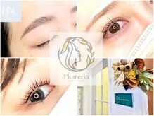 プルメリア(Plumeria)