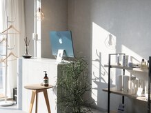 気持ちの良い陽が差し込んで癒される空間♪