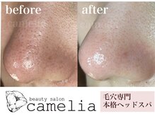 カメリア(camelia)