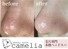 カメリア(camelia)