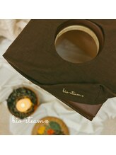 ビオスチーム フシミ(Bio Steam Fushimi)/クッションカバー