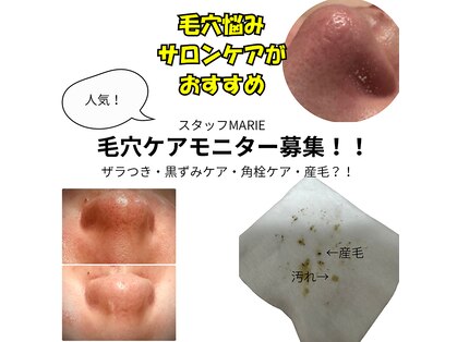 ディーロータス(D-lotus)の写真