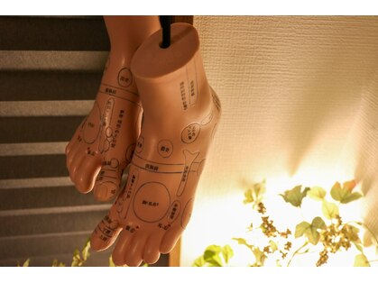 ラクソン 四谷三丁目駅(LACXON)の写真